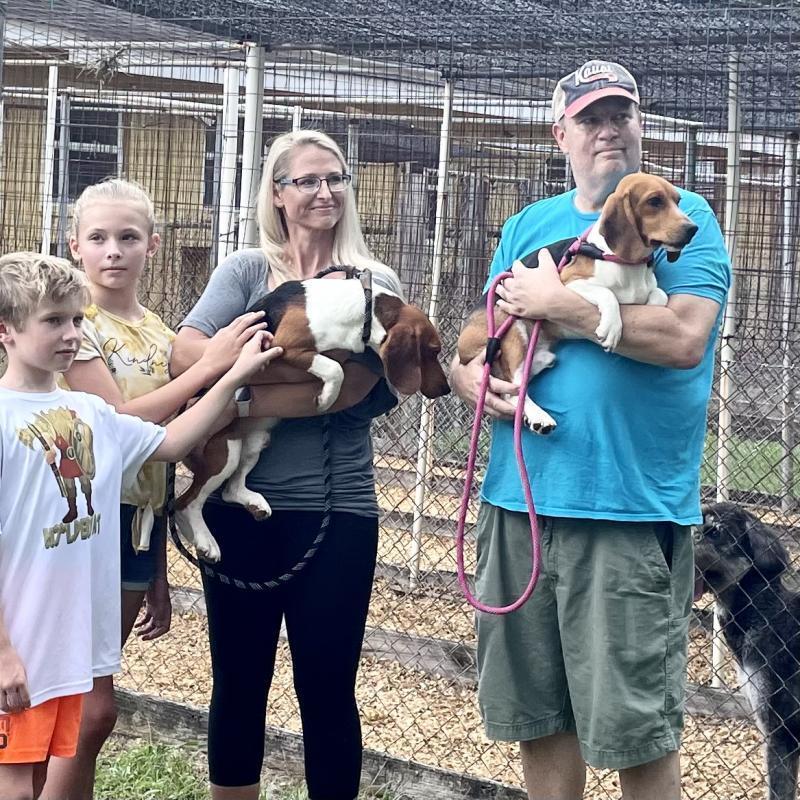 description
